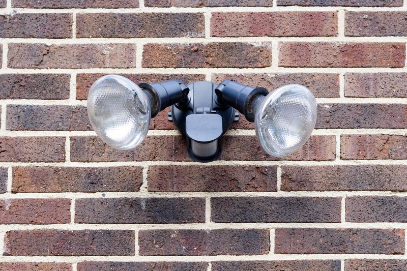5. Motion-Activated Lights or Sprinklers