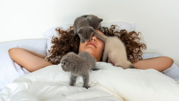 6 Reasons Why Your Cat Sleeps on Your Head & 6 Ways to Prevent It