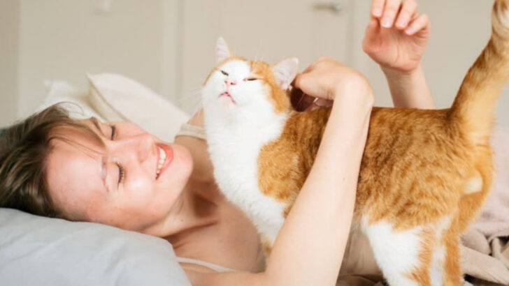 6 Selfish Things Cats Do Daily & 5 Ways They Win Us Back