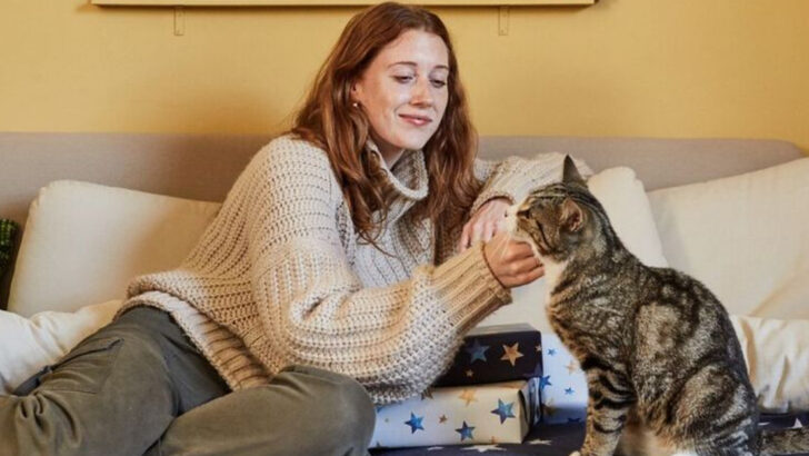 7 Feline Body Language Clues You’re Missing & 7 Ways to Respond the Right Way