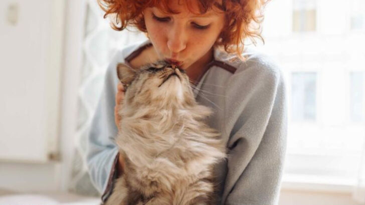 8 Everyday Ways to Make Your Cat Feel Loved (Without Spending a Penny)