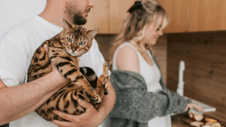 9 Spaces Cats Tend to Avoid—And the Easy Changes That Make All the Difference