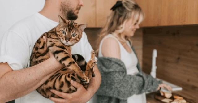 9 Spaces Cats Tend to Avoid—And the Easy Changes That Make All the Difference