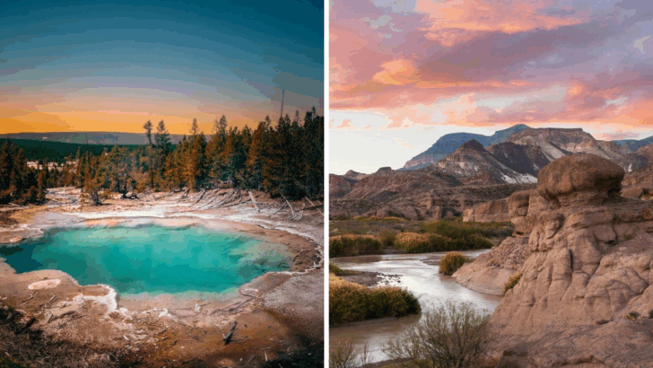 9 Best Places Across North America to Catch a Glimpse of a Cougar