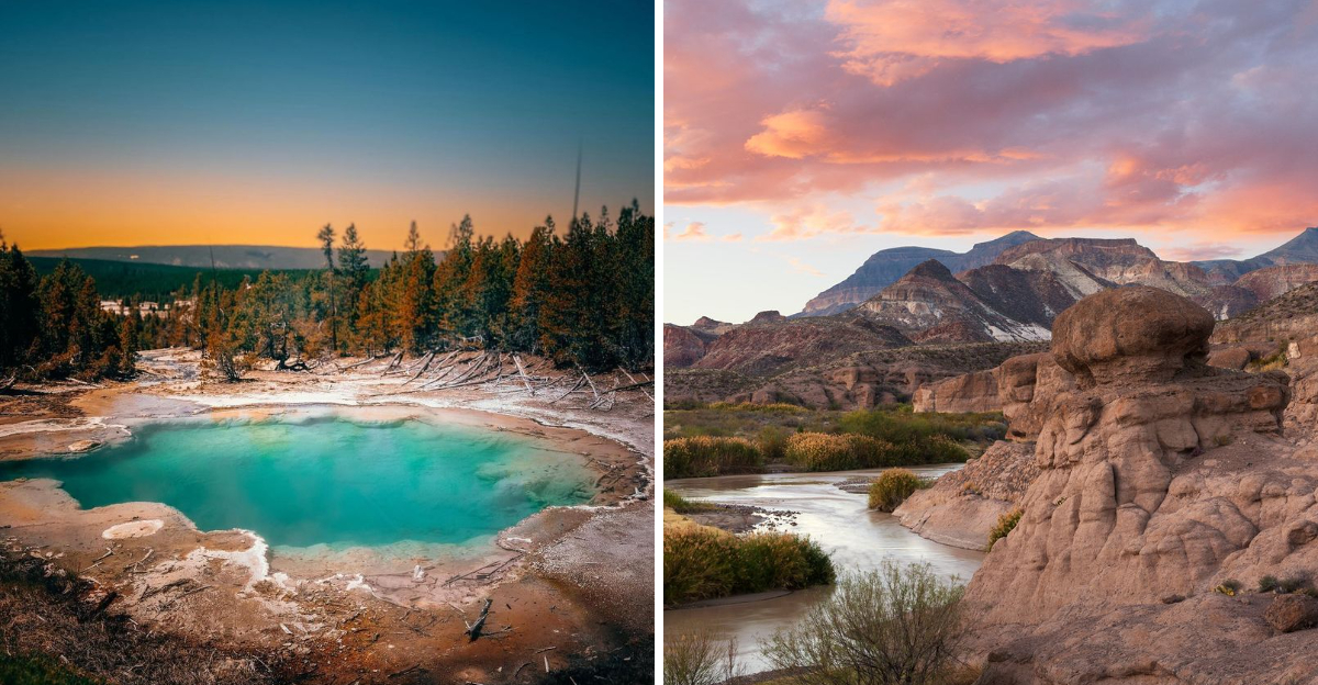 9 Best Places Across North America to Catch a Glimpse of a Cougar