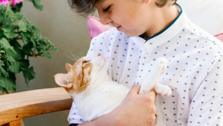 9 Surprising Reasons Cats Might Communicate With Us Better Than Dogs Do