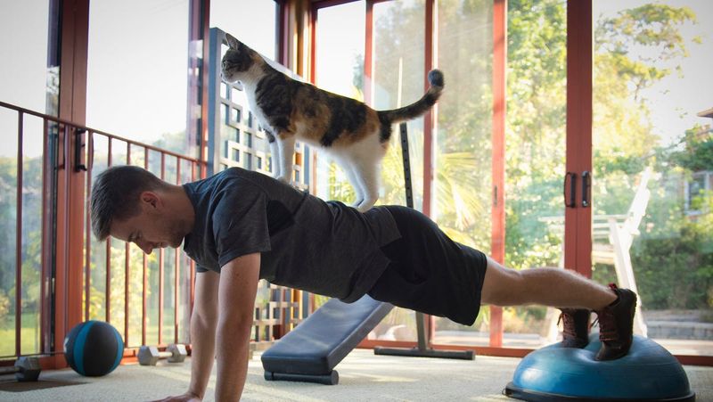 Activity Level Coordination