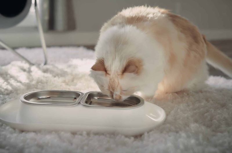 Add Flavor to Water