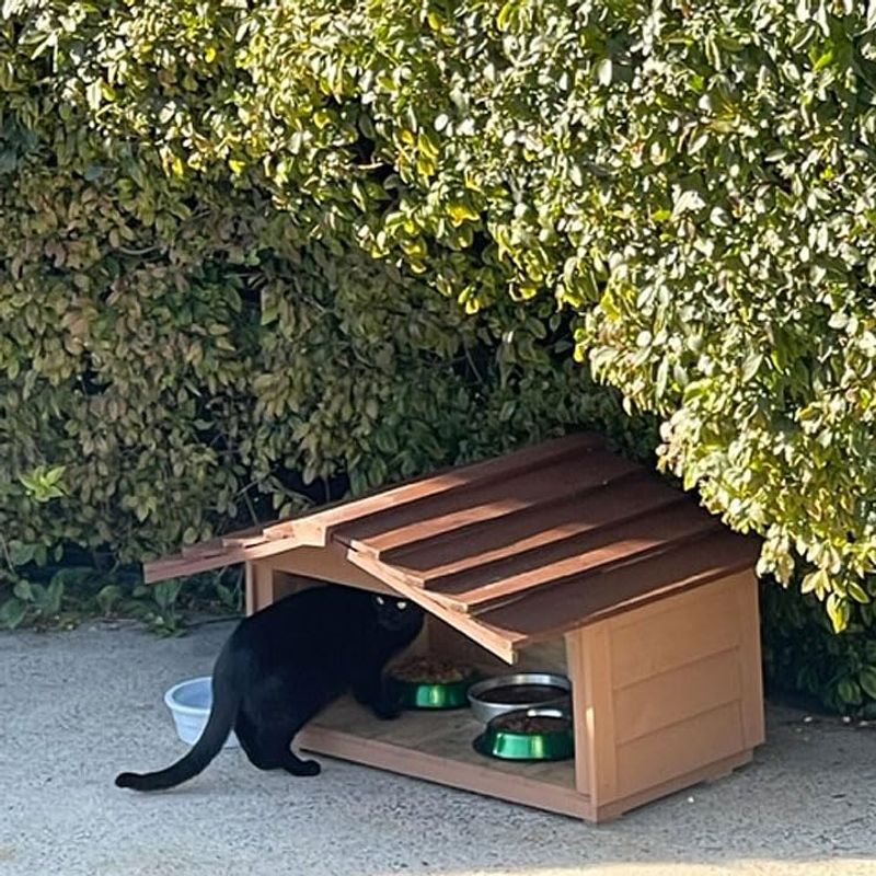 Add a Feeding Station