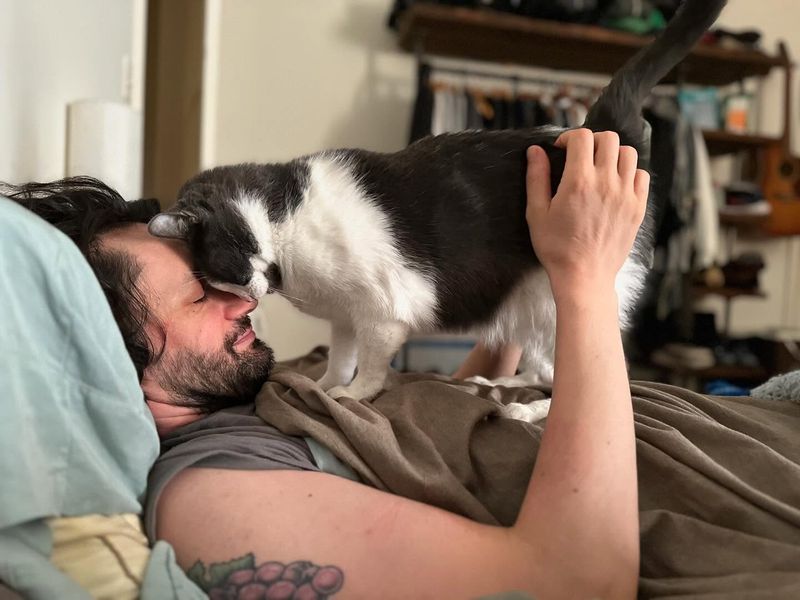 Adorable: The Gentle Head-Butt Greeting