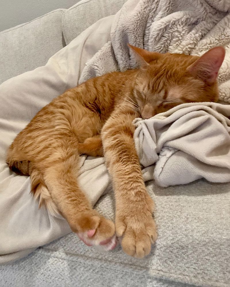 Adorable: The Protective Bedtime Cuddle