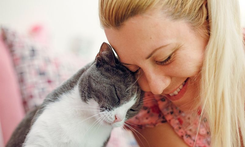 Affection Only Before Feeding