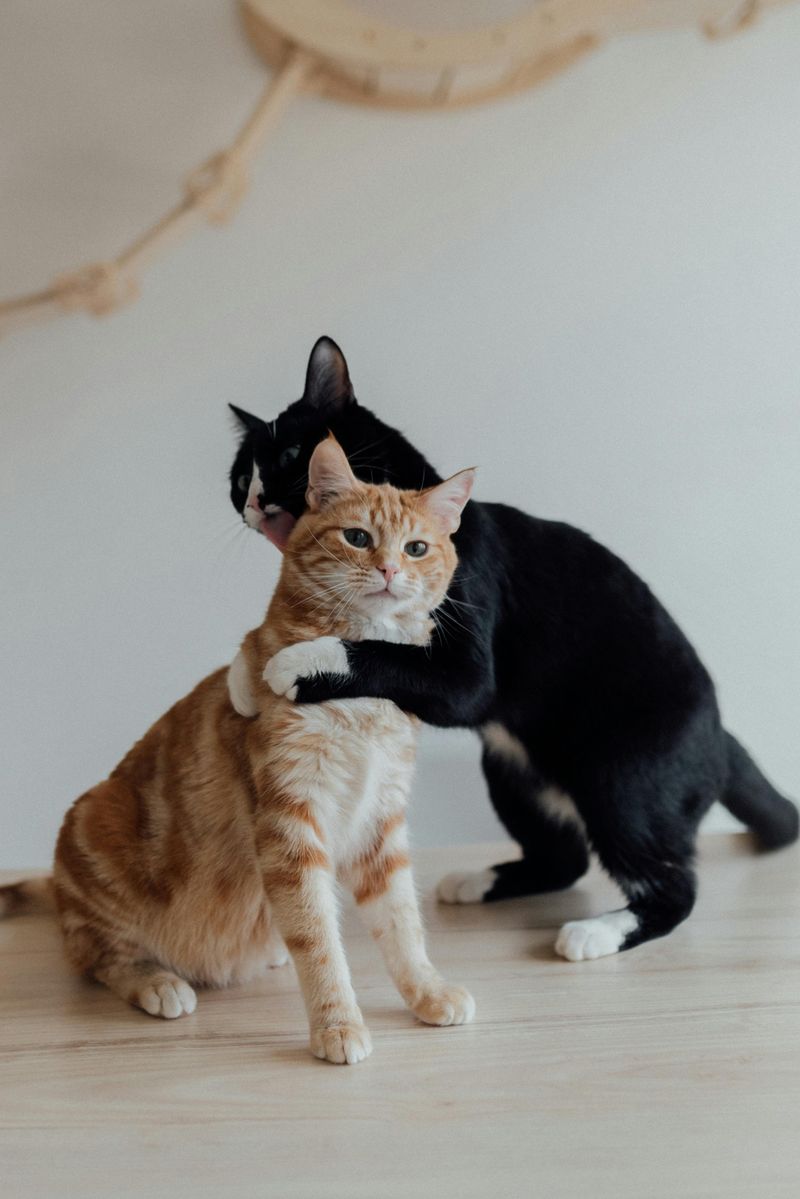 Affection on Their Terms