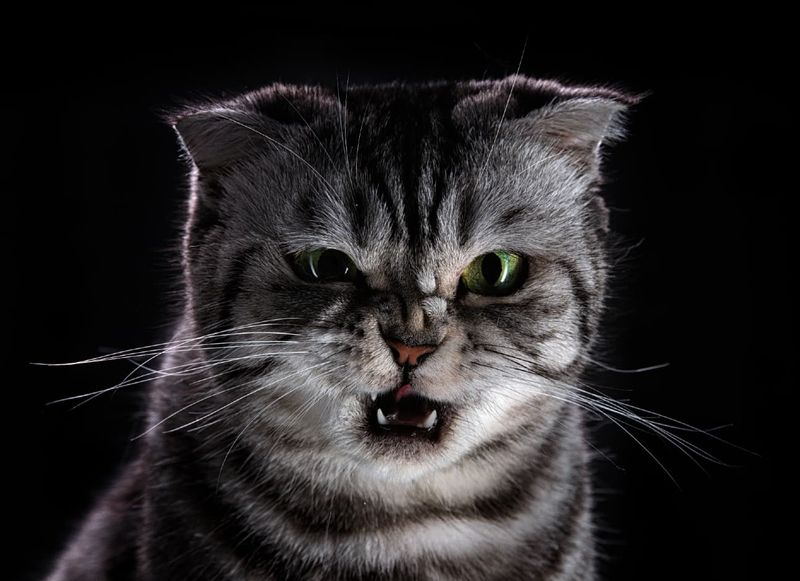 Aggression or Behavioral Changes