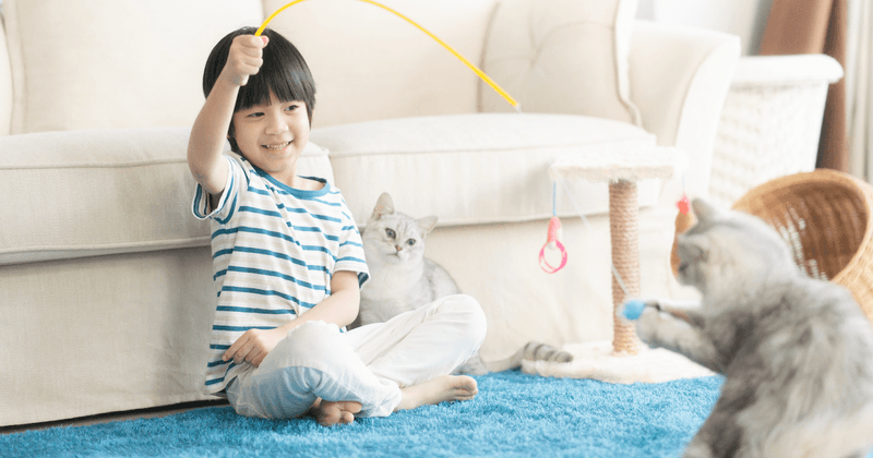 Allowing Rough Play Between Cats and Children