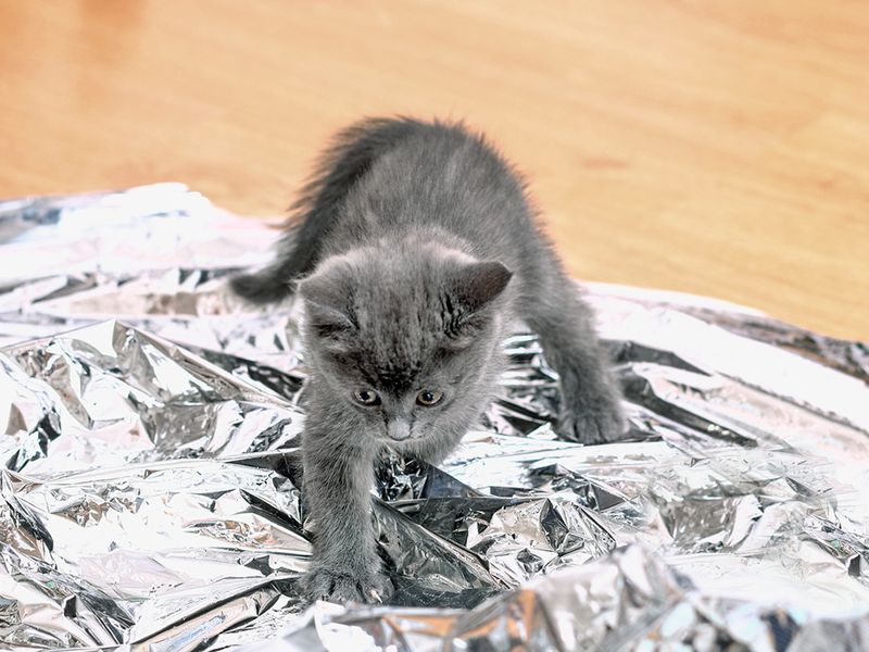 Aluminum Foil: The Metallic Menace