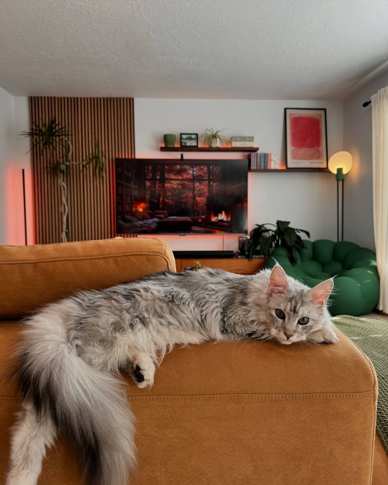 Apply Deterrent Sprays to Furniture
