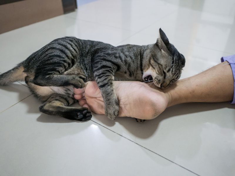 Attacking Your Toes