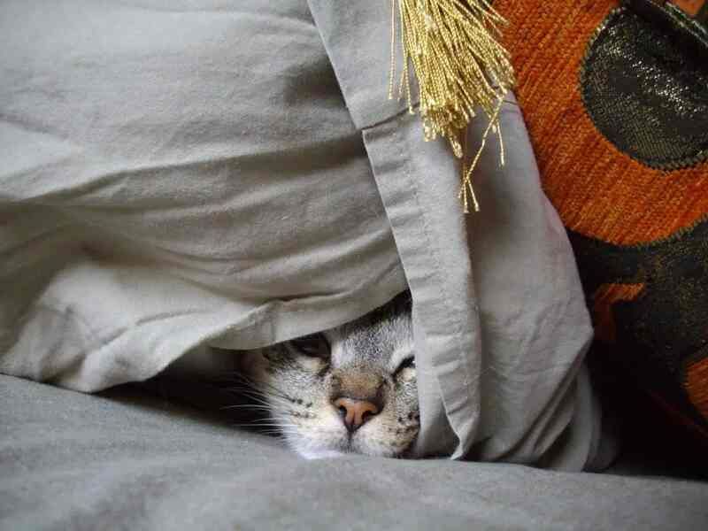 Become Their Storm Shelter