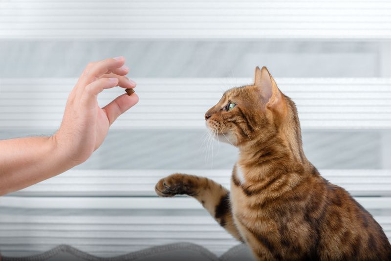 Become a Consistent Caretaker