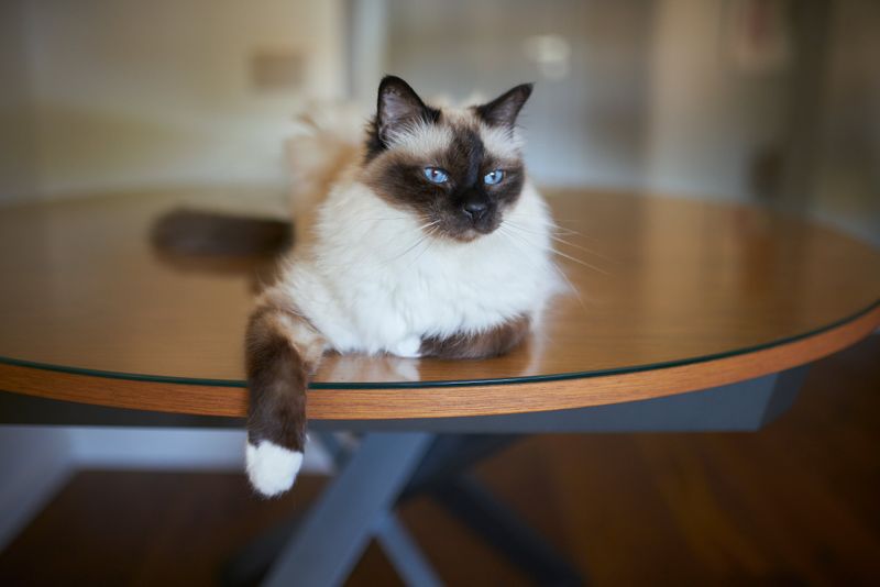 Birman