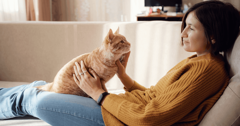 Body Language Reading