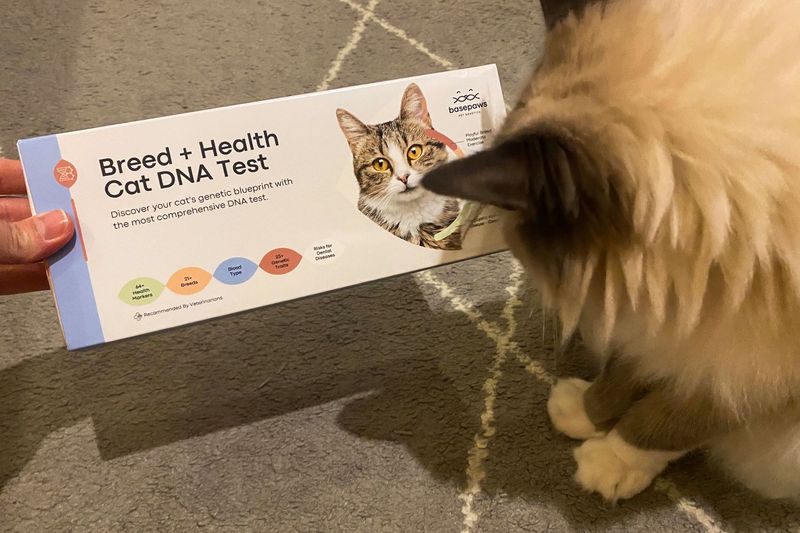 Breed Identification