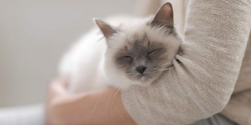 Breed Tendencies Play A Surprising Role