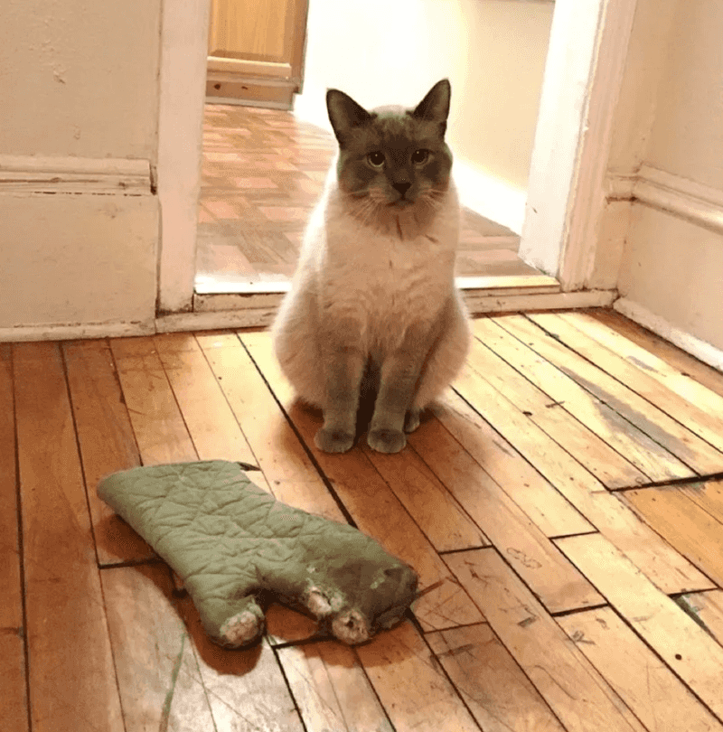 Bringing You 'Gifts' Shows Affection