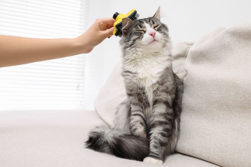 Brush Daily for Bonding Time