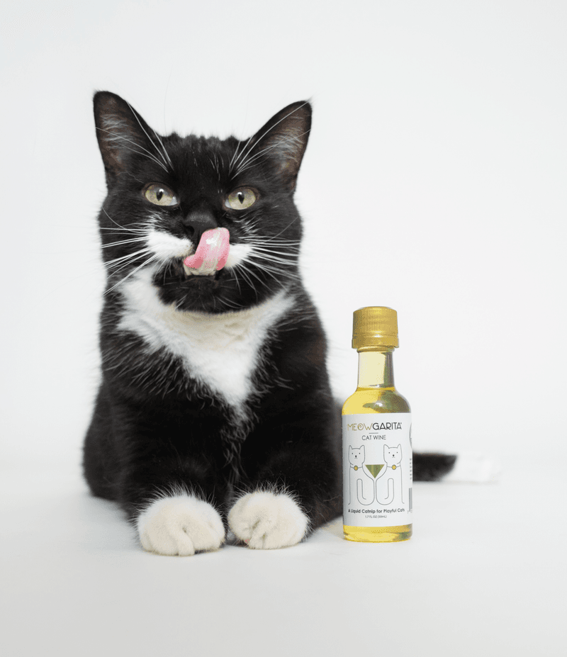 Cat Wine