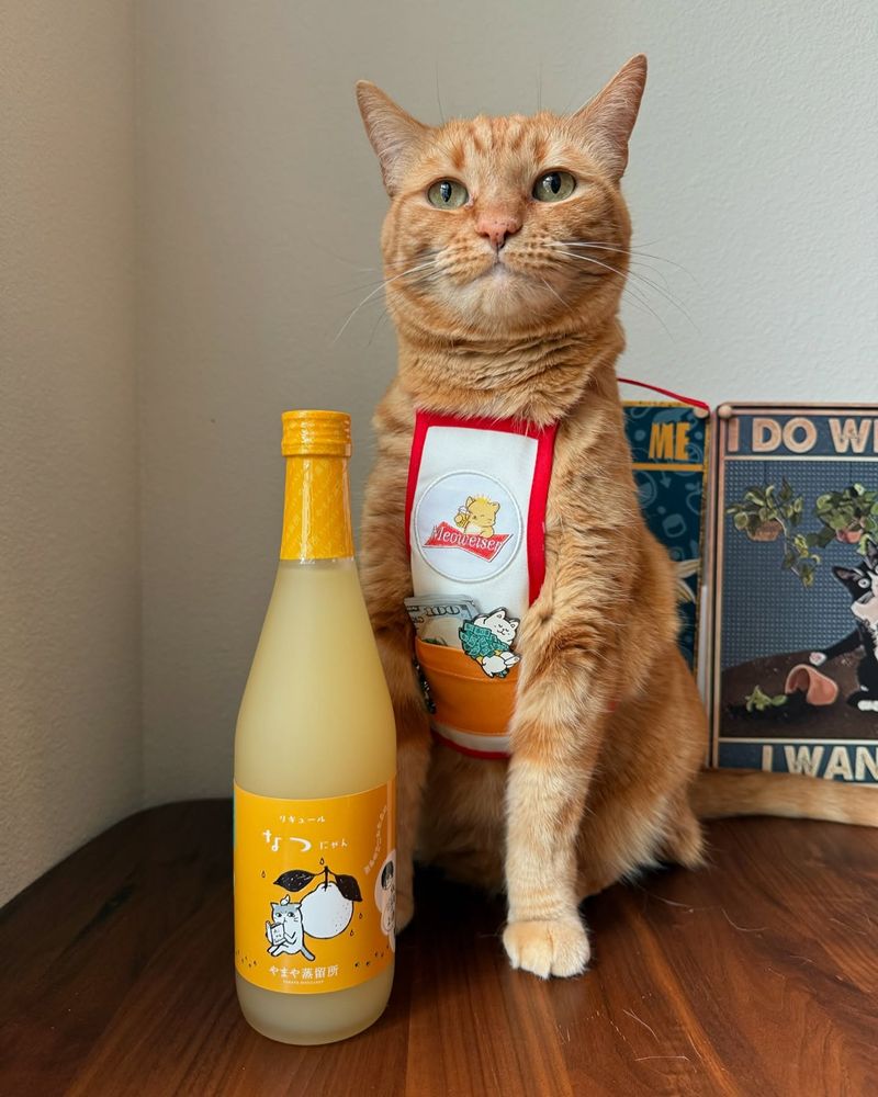 Citrus Juices