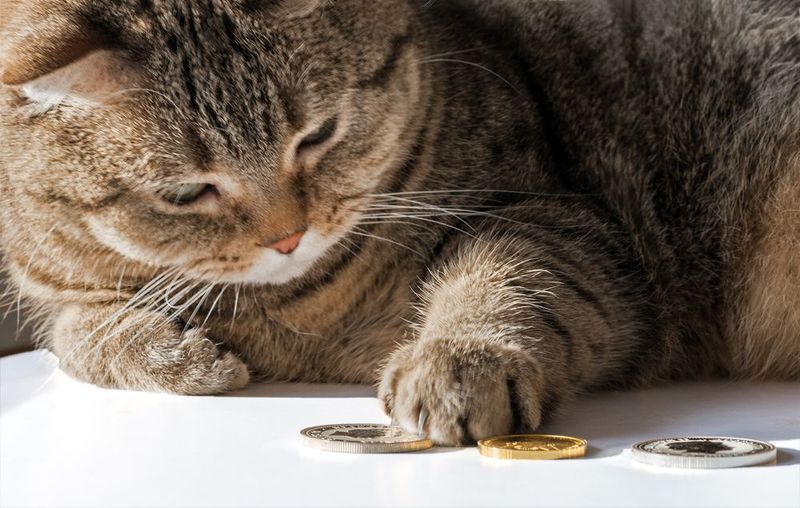 Coins