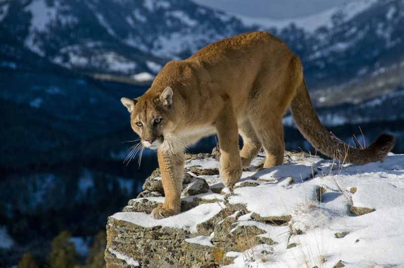 Colorado