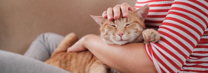 Comfort-Seeking During Changes