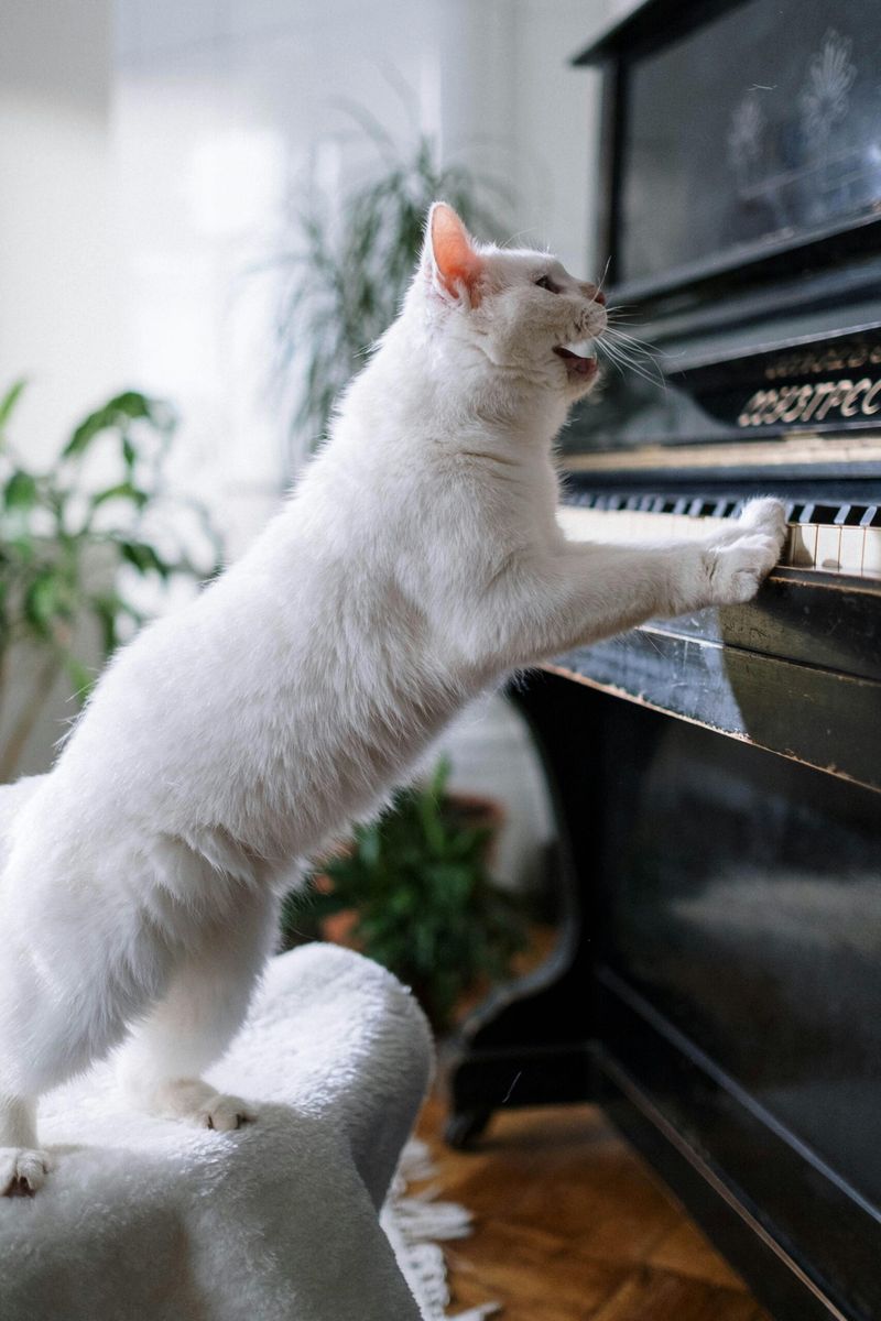 Consider Calming Music or White Noise