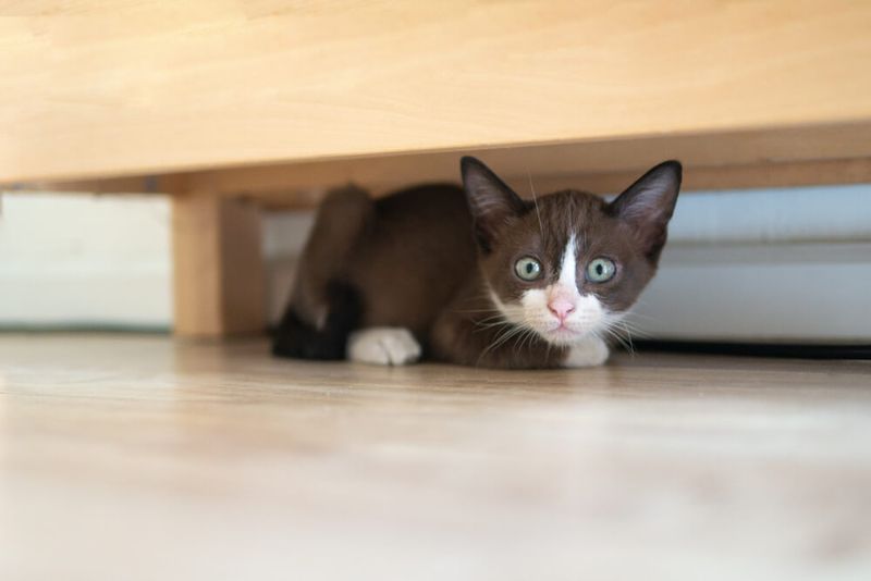 Constant Hiding Reveals Insecurity