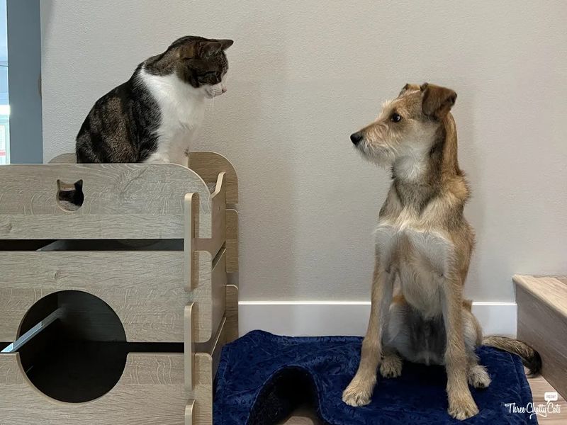 Controlled First Introductions Matter