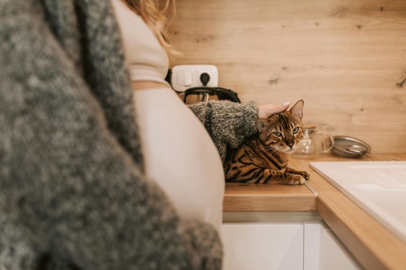 Counter Surfing Adventures