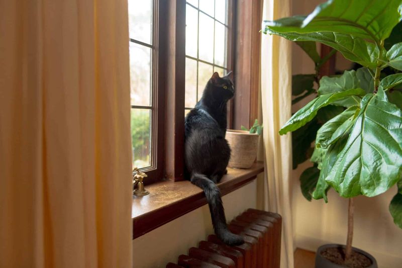 Create Easy Access to Favorite Spots
