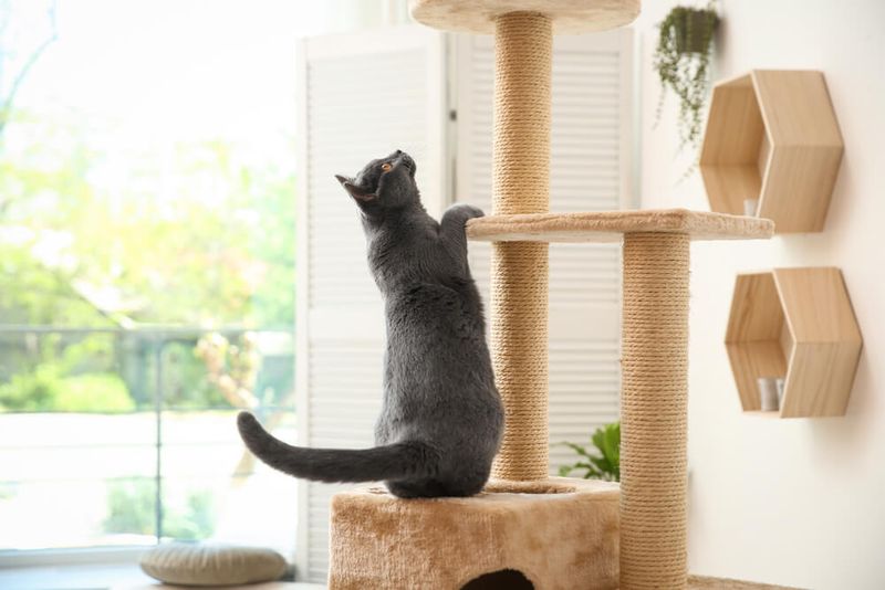 Create Vertical Climbing Spaces