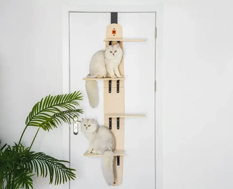 Create Vertical Space