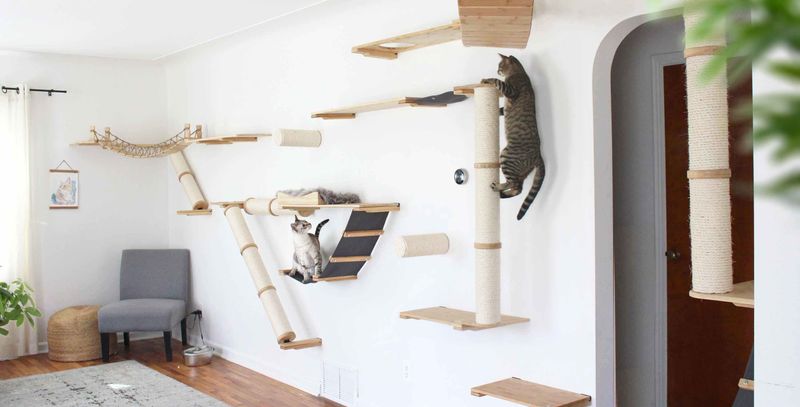 Create Vertical Territory