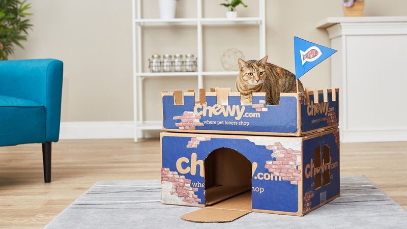 Create a DIY Cardboard Castle