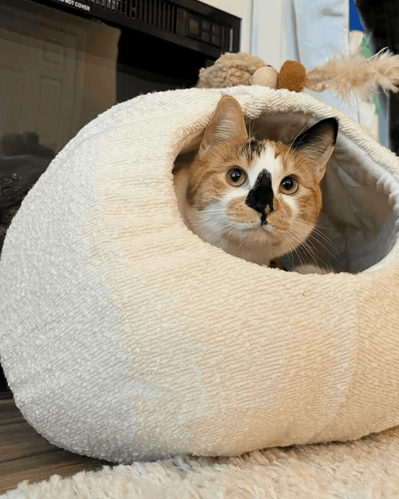 Create a Safe Hideaway