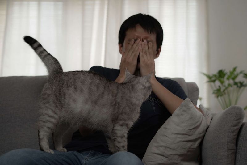 Cuddling When You’re Sad or Sick