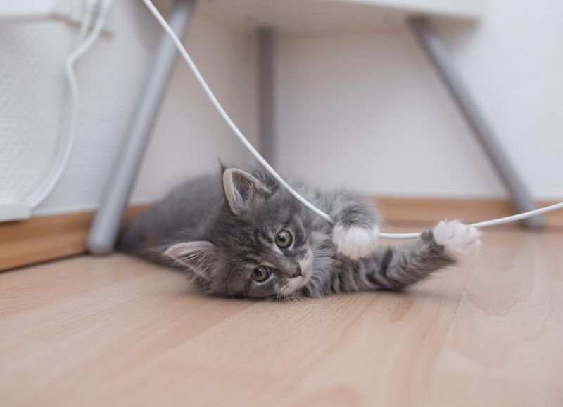 Curtain Cords or Blinds Strings