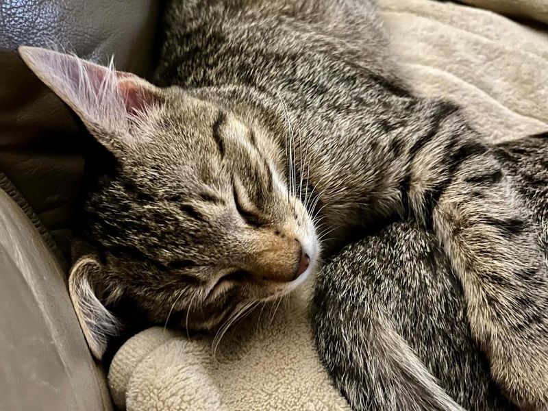 Cute: Curling Up in Tiny Spaces