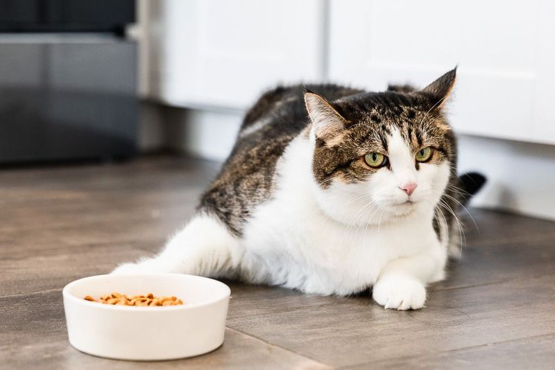 Decreased Appetite