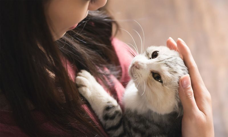 Demanding Human Attention First